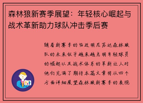森林狼新赛季展望：年轻核心崛起与战术革新助力球队冲击季后赛